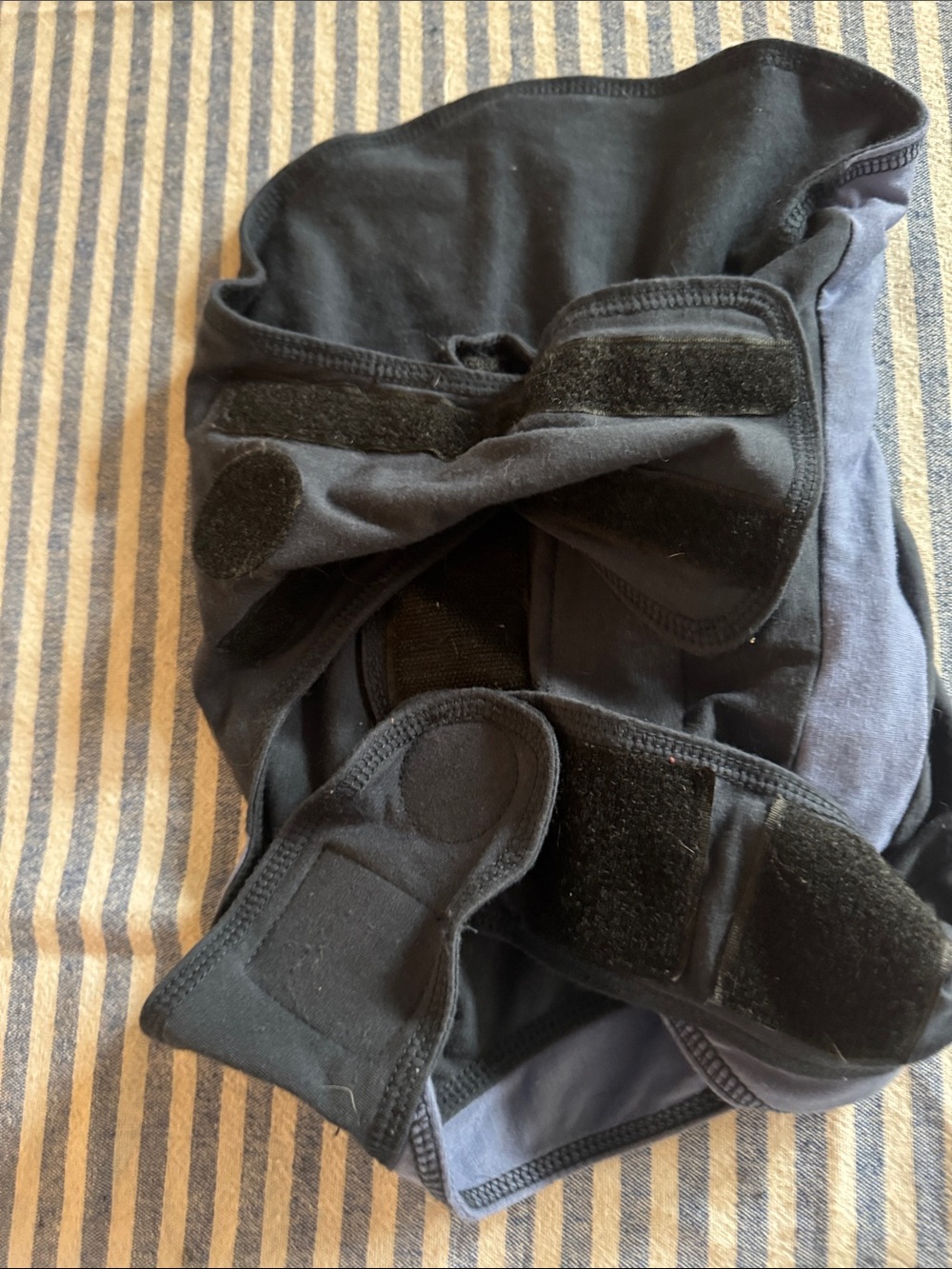 Thundershirt - Picture 4 of 5